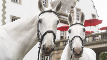 Ascot Day - Monarch and Duke